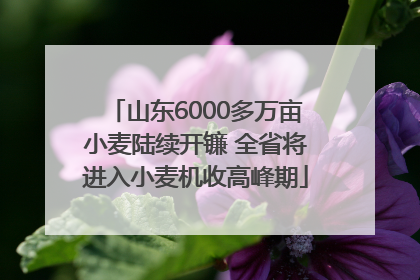 山东6000多万亩小麦陆续开镰 全省将进入小麦机收高峰期