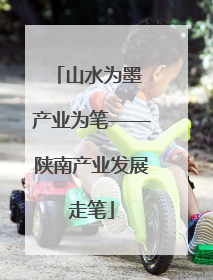 山水为墨 产业为笔——陕南产业发展走笔