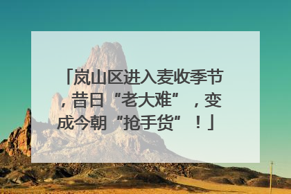 岚山区进入麦收季节，昔日“老大难”，变成今朝“抢手货”！