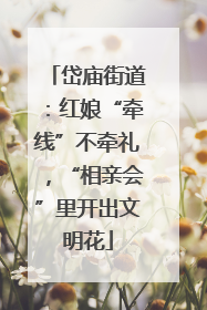 岱庙街道：红娘“牵线”不牵礼，“相亲会”里开出文明花
