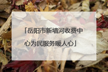 岳阳市新墙河收费中心为民服务暖人心