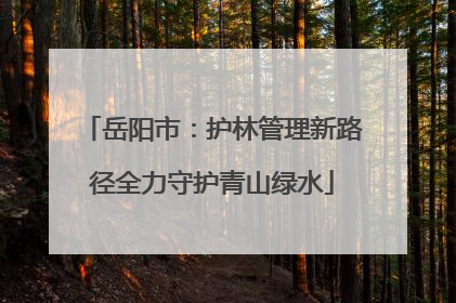 岳阳市：护林管理新路径全力守护青山绿水