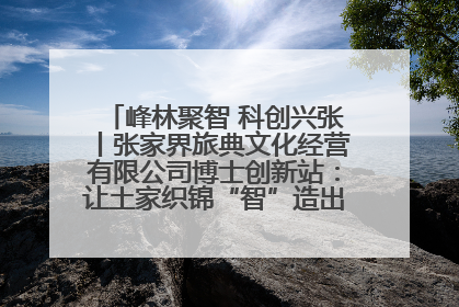 峰林聚智 科创兴张丨张家界旅典文化经营有限公司博士创新站：让土家织锦“智”造出非遗新传奇