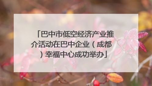 巴中市低空经济产业推介活动在巴中企业（成都）幸福中心成功举办