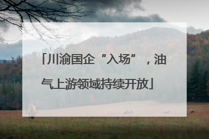 川渝国企“入场”，油气上游领域持续开放