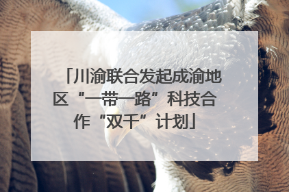 川渝联合发起成渝地区“一带一路”科技合作“双千”计划