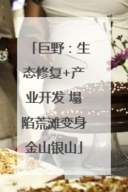 巨野：生态修复+产业开发 塌陷荒滩变身金山银山