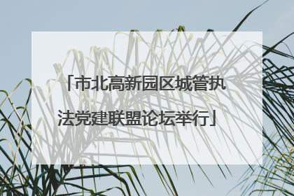 市北高新园区城管执法党建联盟论坛举行