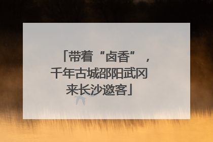 带着“卤香”，千年古城邵阳武冈来长沙邀客