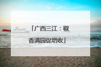 广西三江：椒香满园促增收