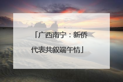 广西南宁：新侨代表共叙端午情