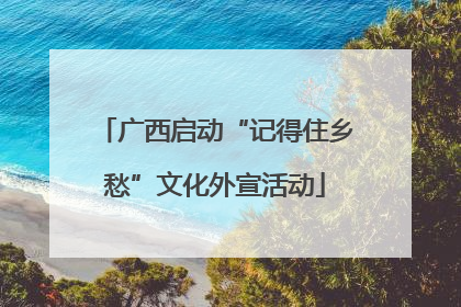 广西启动“记得住乡愁”文化外宣活动