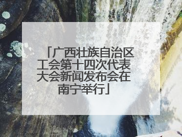 广西壮族自治区工会第十四次代表大会新闻发布会在南宁举行