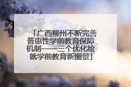 广西柳州不断完善普惠性学前教育保障机制——三个优化绘就学前教育新图景