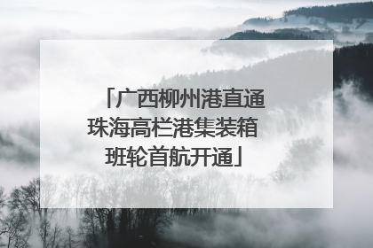 广西柳州港直通珠海高栏港集装箱班轮首航开通