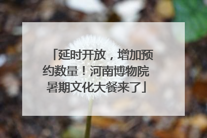 延时开放，增加预约数量！河南博物院暑期文化大餐来了