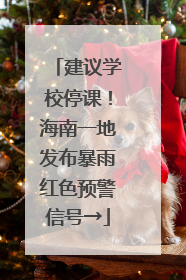 建议学校停课！海南一地发布暴雨红色预警信号→