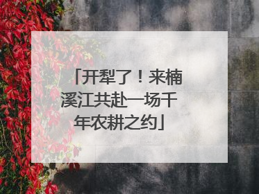开犁了！来楠溪江共赴一场千年农耕之约