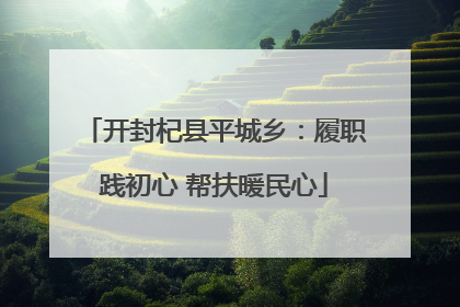 开封杞县平城乡：履职践初心 帮扶暖民心