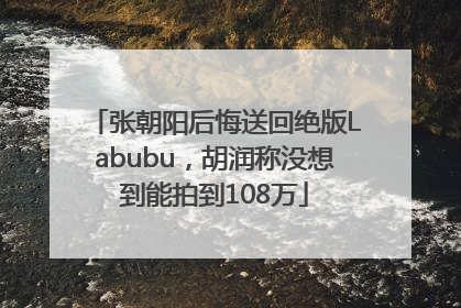 张朝阳后悔送回绝版Labubu，胡润称没想到能拍到108万