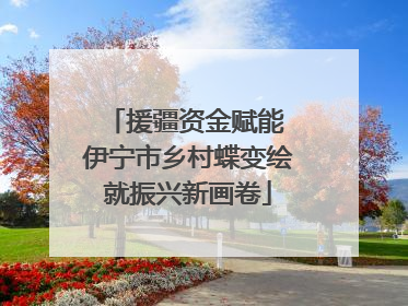 援疆资金赋能 伊宁市乡村蝶变绘就振兴新画卷