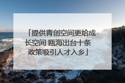 提供青创空间更给成长空间 瓯海出台十条政策吸引人才入乡