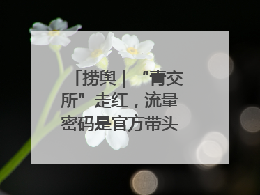 捞舆｜“青交所”走红，流量密码是官方带头“玩起来”