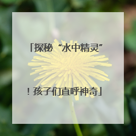 探秘“水中精灵”！孩子们直呼神奇