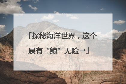 探秘海洋世界，这个展有“鲸”无险→