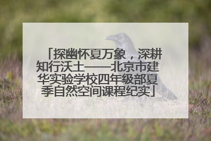 探幽怀夏万象，深耕知行沃土——北京市建华实验学校四年级部夏季自然空间课程纪实
