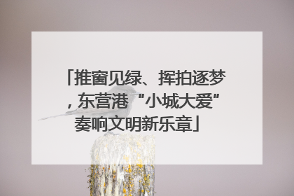 推窗见绿、挥拍逐梦，东营港“小城大爱”奏响文明新乐章