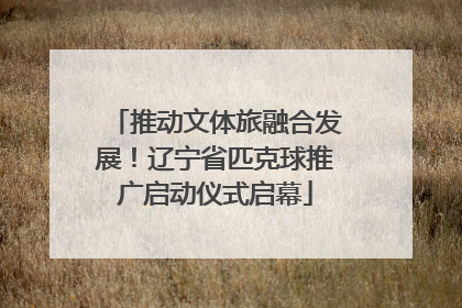 推动文体旅融合发展！辽宁省匹克球推广启动仪式启幕