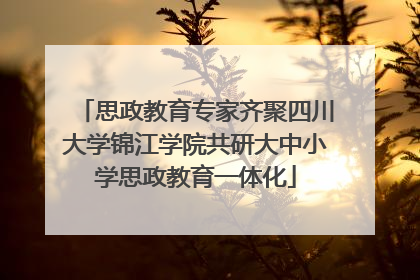 思政教育专家齐聚四川大学锦江学院共研大中小学思政教育一体化