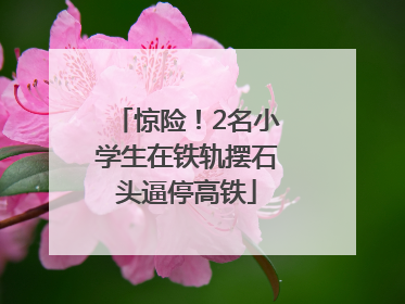 惊险！2名小学生在铁轨摆石头逼停高铁