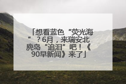 想看蓝色“荧光海”？6月，来瑞安北麂岛“追泪”吧！《90早新闻》来了