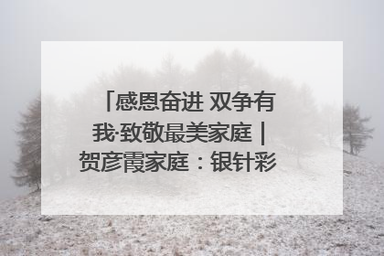 感恩奋进 双争有我·致敬最美家庭｜贺彦霞家庭：银针彩线绣出好日子