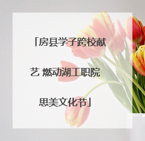 房县学子跨校献艺 燃动湖工职院思美文化节