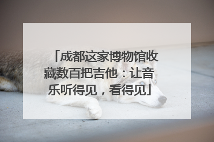成都这家博物馆收藏数百把吉他：让音乐听得见，看得见