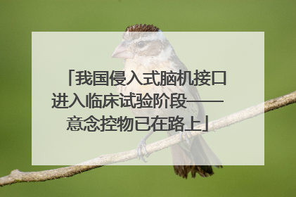 我国侵入式脑机接口进入临床试验阶段——意念控物已在路上