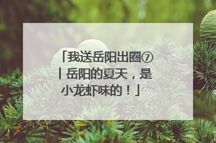我送岳阳出圈⑦丨岳阳的夏天，是小龙虾味的！