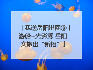 我送岳阳出圈⑧丨游船+光影秀 岳阳文旅出“新招”