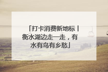 打卡消费新地标丨衡水湖边走一走，有水有鸟有乡愁
