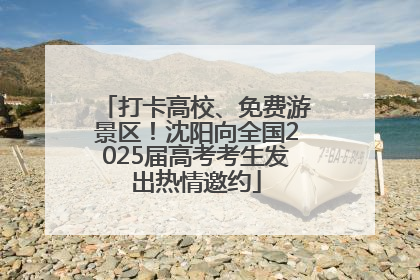 打卡高校、免费游景区！沈阳向全国2025届高考考生发出热情邀约