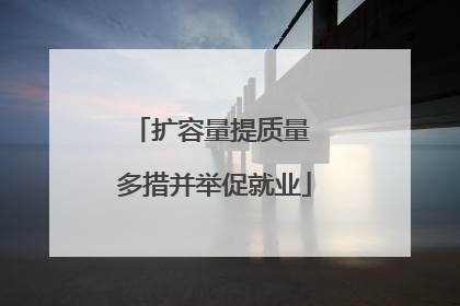 扩容量提质量 多措并举促就业