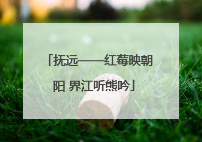 抚远——红莓映朝阳 界江听熊吟