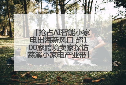 抢占AI智能小家电出海新风口 超100家跨境卖家探访慈溪小家电产业带