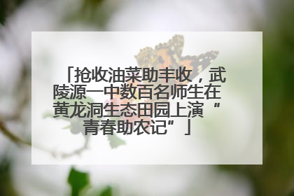 抢收油菜助丰收，武陵源一中数百名师生在黄龙洞生态田园上演“青春助农记”