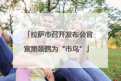 拉萨市召开发布会官宣黑颈鹤为“市鸟”