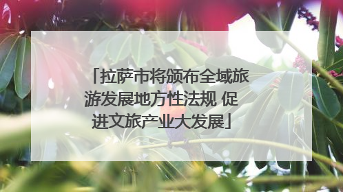 拉萨市将颁布全域旅游发展地方性法规 促进文旅产业大发展