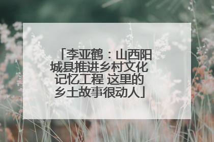 李亚鹤：山西阳城县推进乡村文化记忆工程 这里的乡土故事很动人